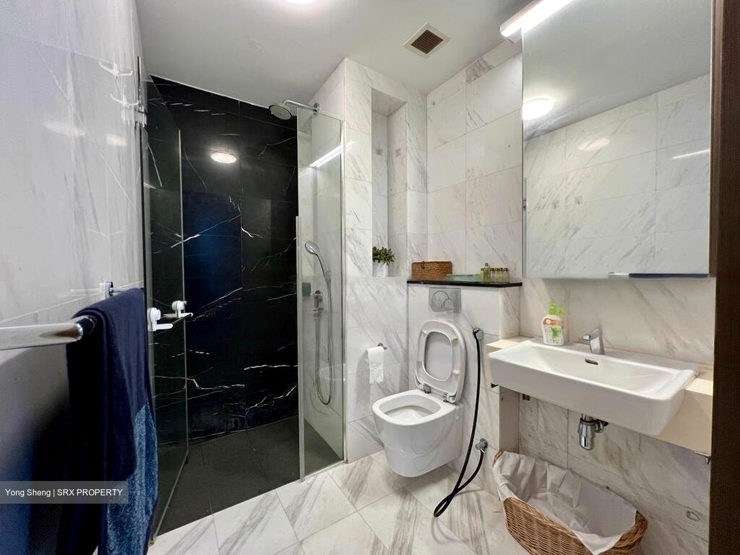 Spottiswoode 18 (D2), Apartment #474363721